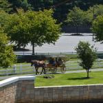 2017OTRA-1_340 (August 24, 2017)